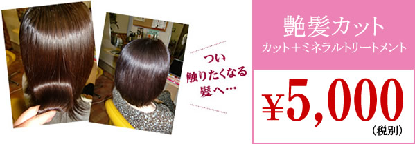 艶髪カット：￥5,000