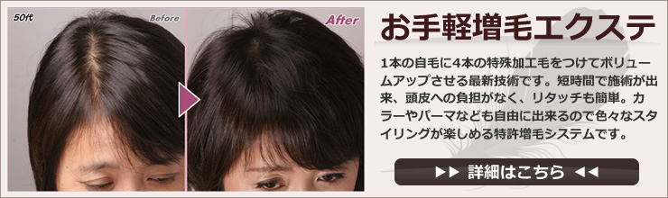 ボリュームアップ・つむじ隠し・増毛・密毛・すき目隠し　お手軽増毛エクステ